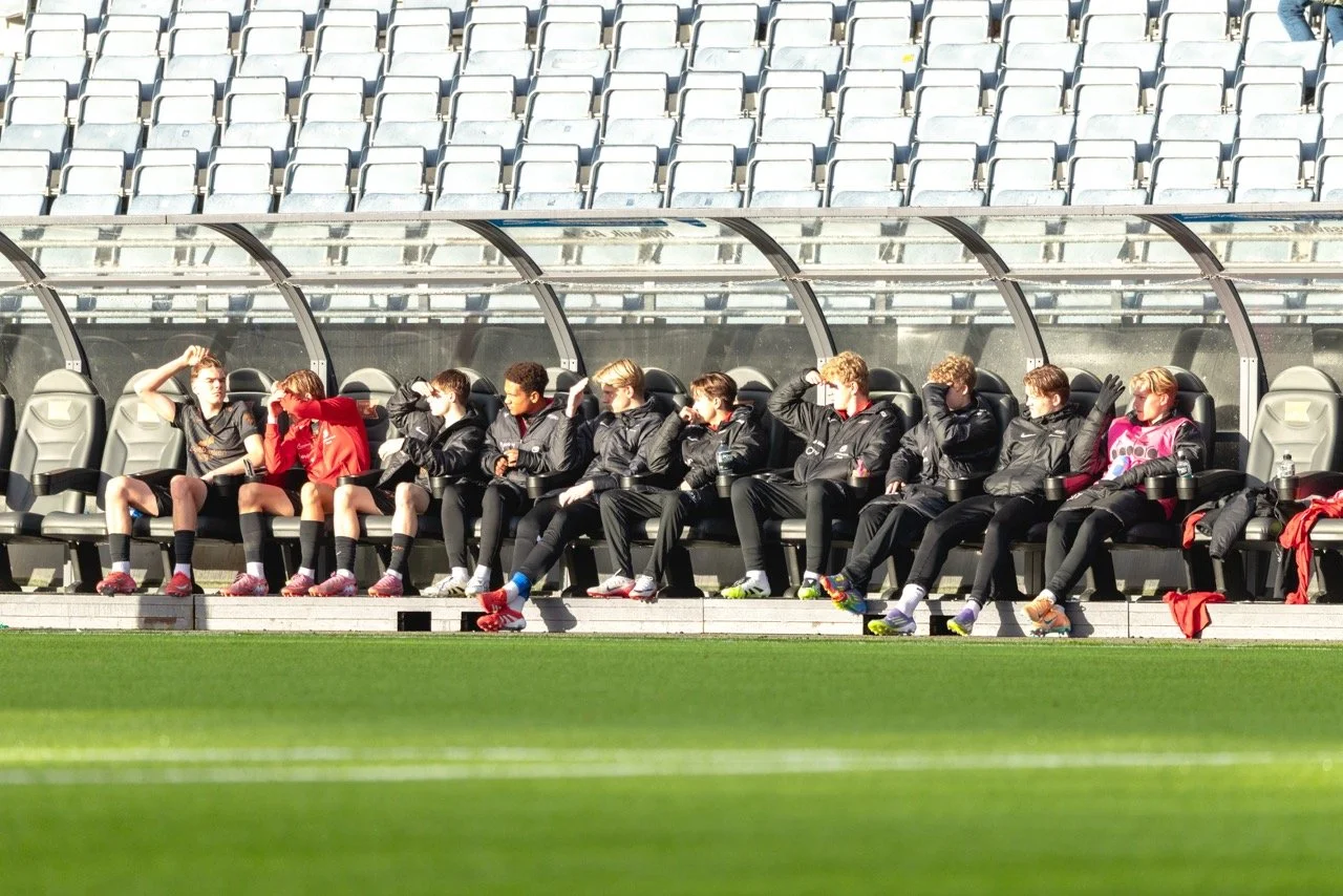 CP5A3357 – stort.jpeg