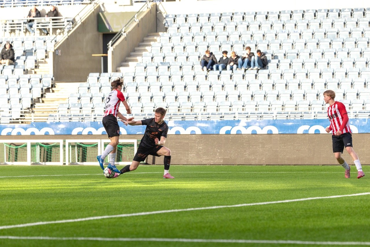 CP5A3348 – stort.jpeg