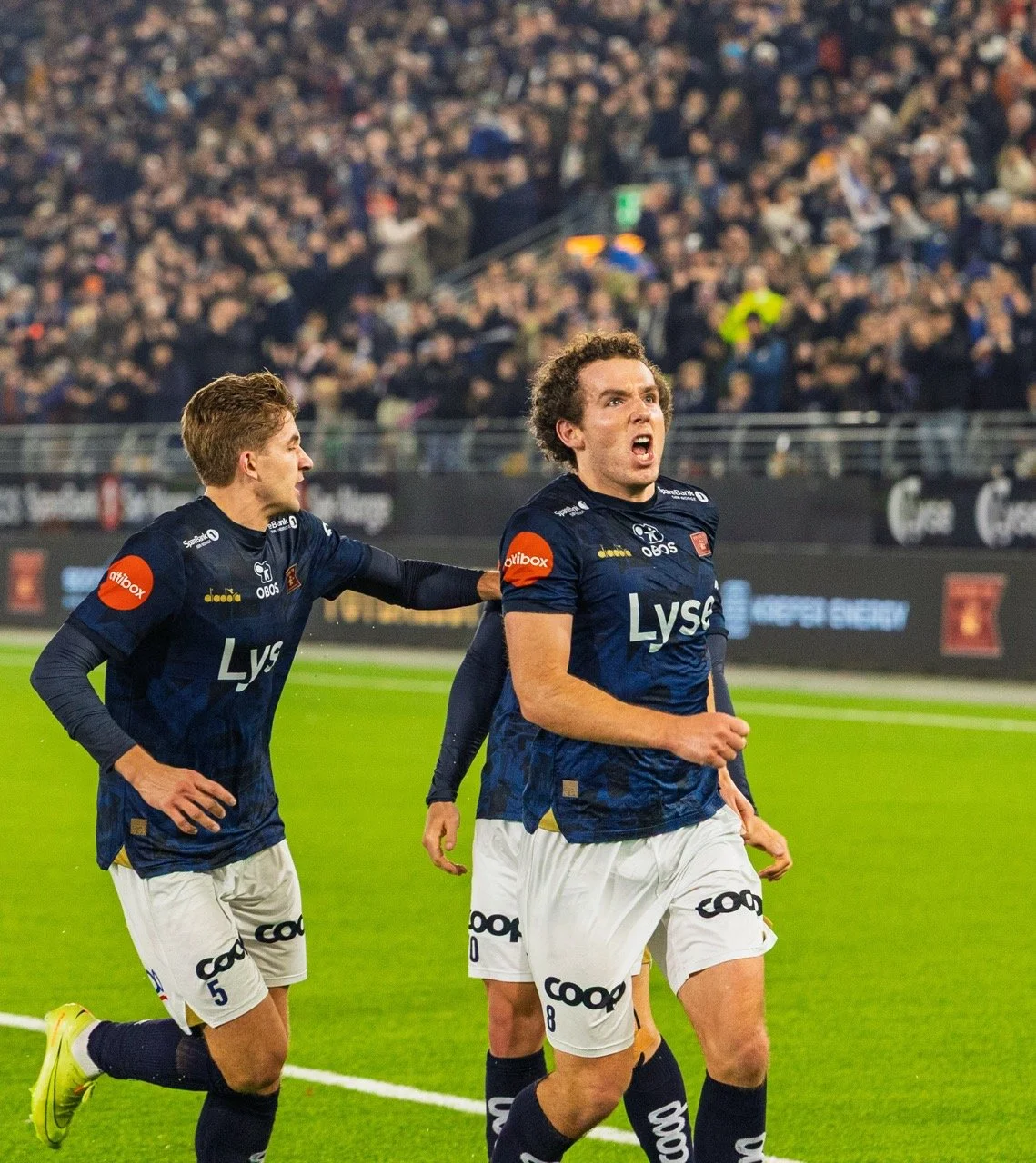 CA0A3882 – stort.jpeg