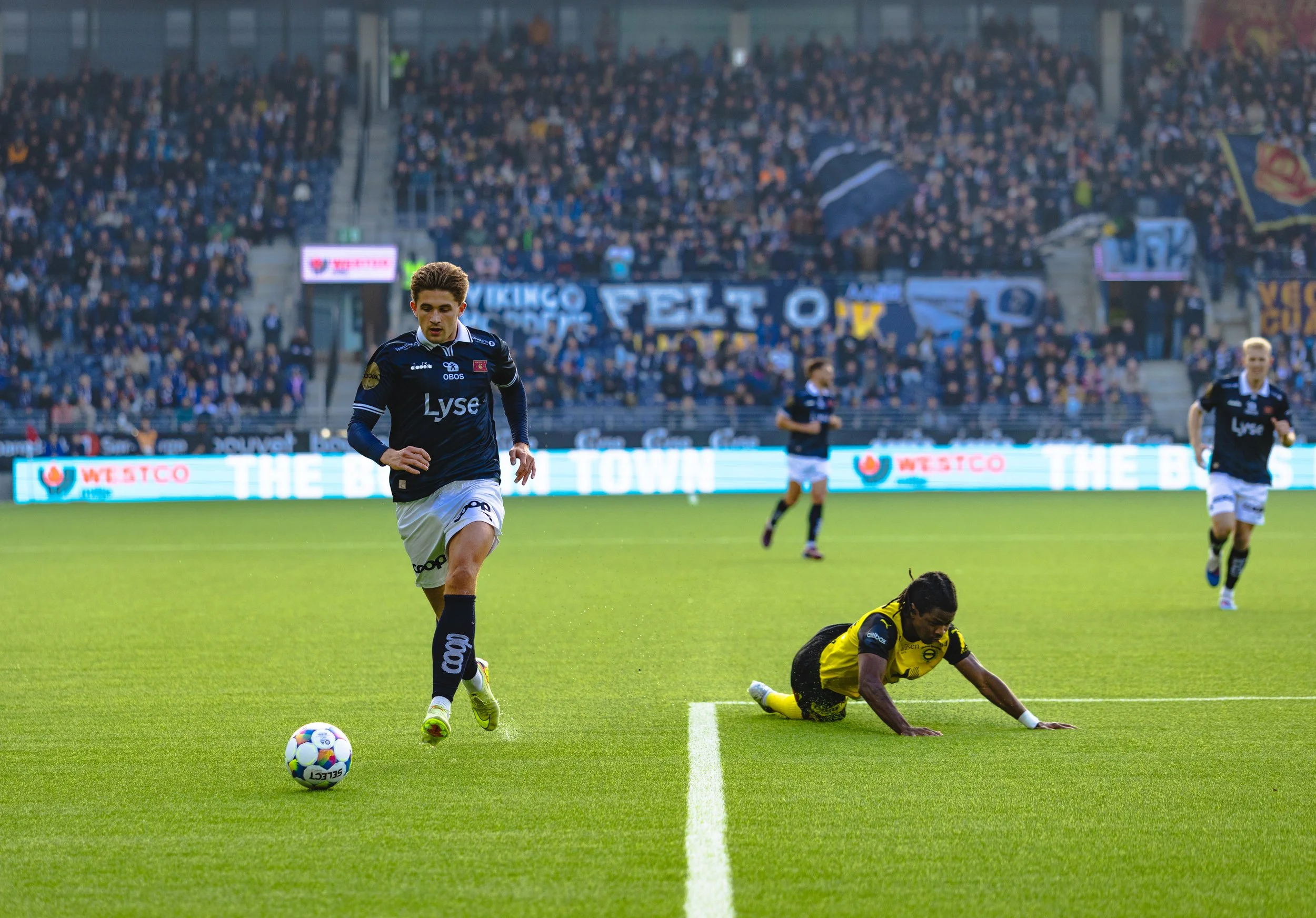 CP5A5776.jpg