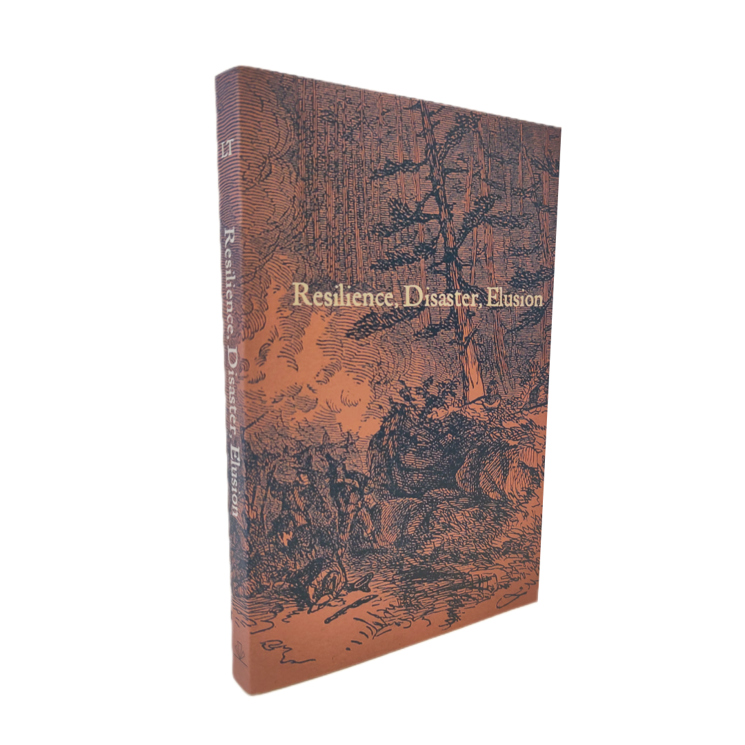 Resilience, Disaster, Elusion