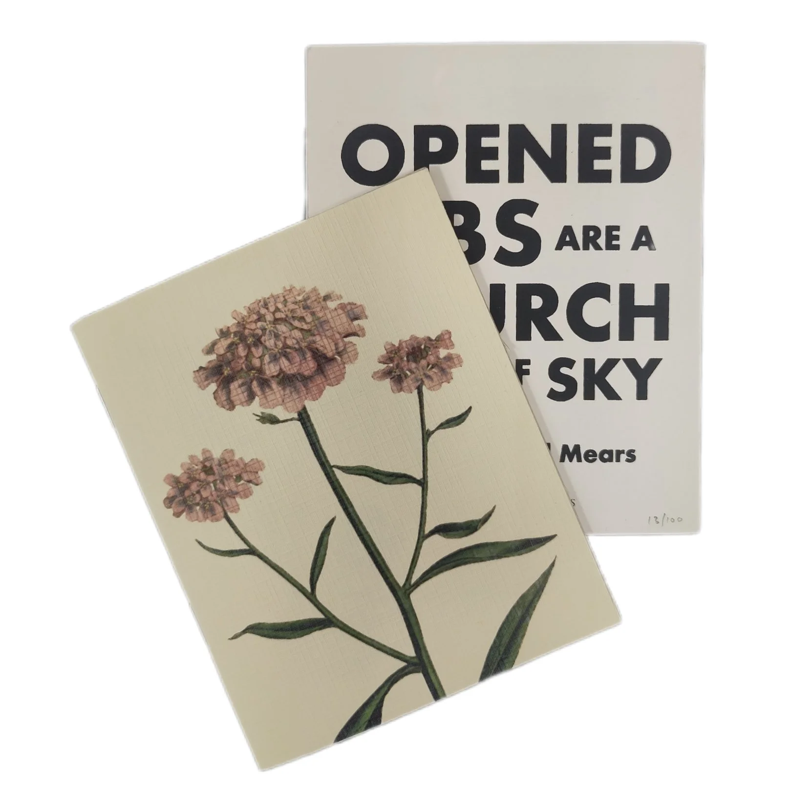 Opened Ribs are a Church Full of Sky  by Andrew Hykel Mears (2nd Editon)