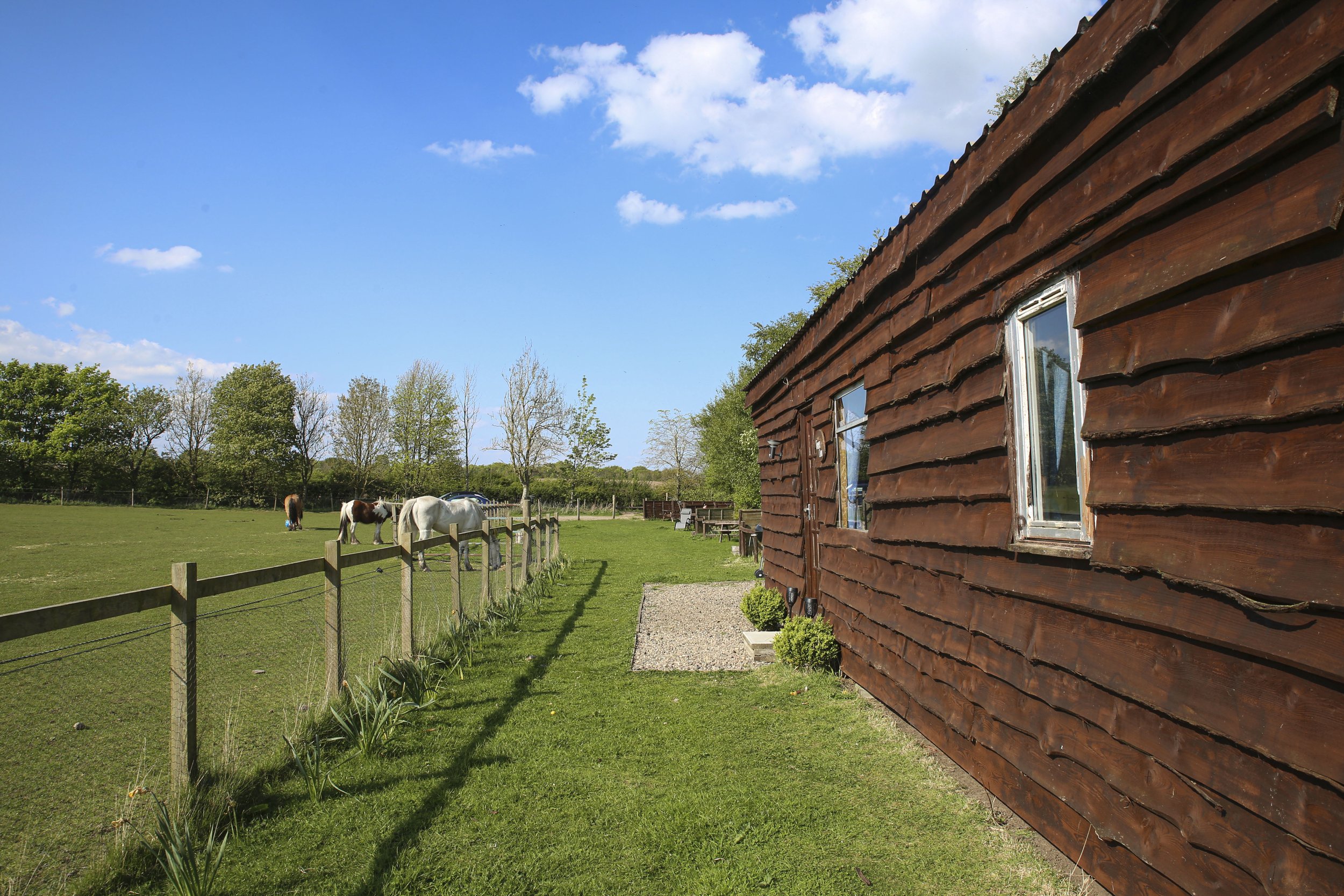 A rustic wooden house with two windows on a green lawn. A fence segment separates the lawn from a field with grazing horses. Trees and a blue sky with clouds are in the background.