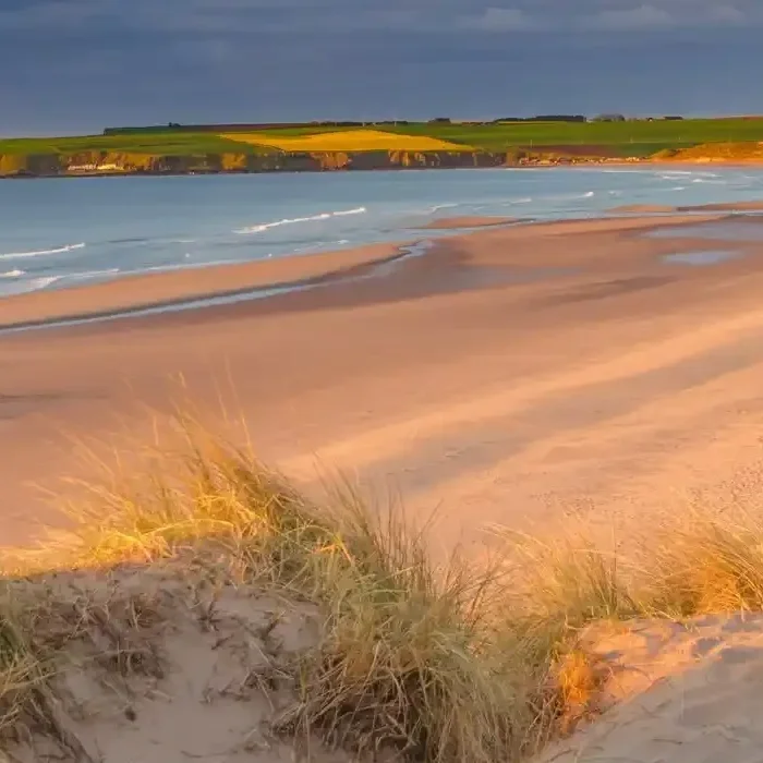 nether-finlarg-glamping-farm-forfar-see-and-do-campsites-near-lunan-bay.webp