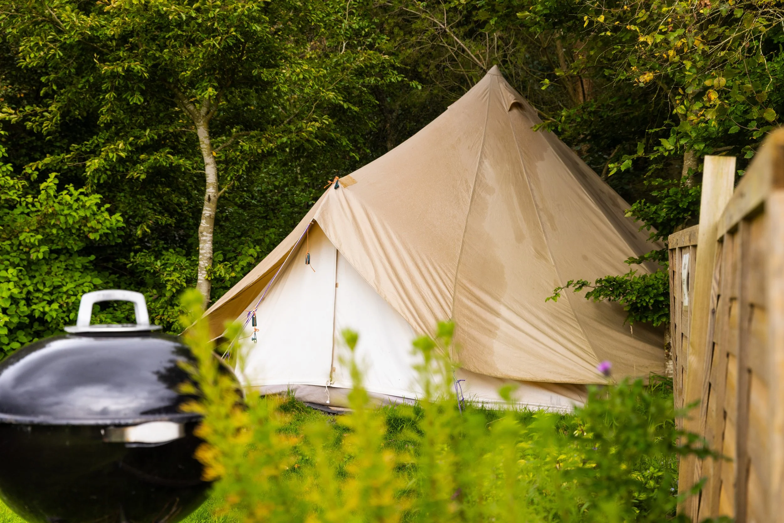 A beige camping tent set up outdoors among green trees and bushes, with a black barbecue grill in the foreground.