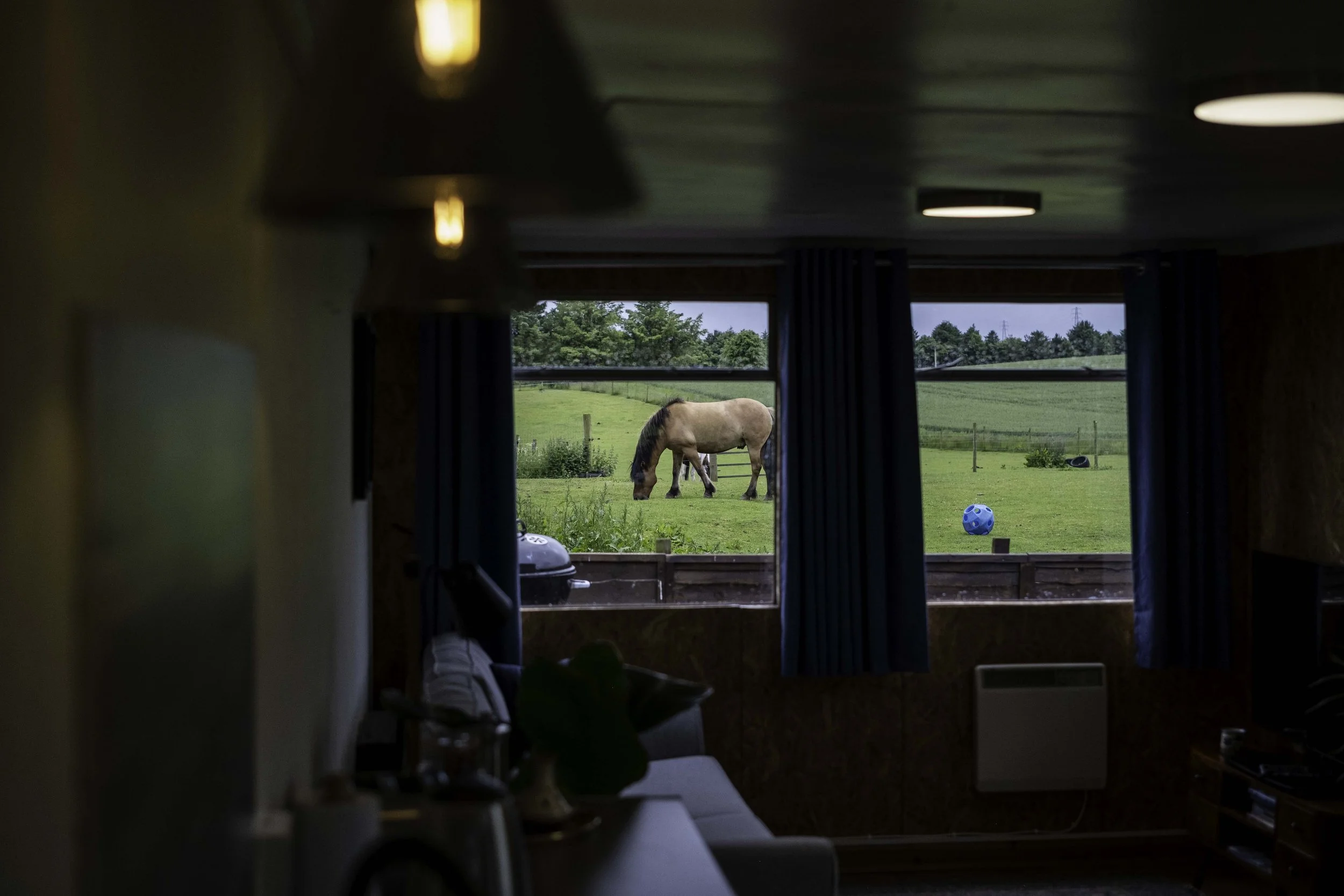 FARM (19).jpg