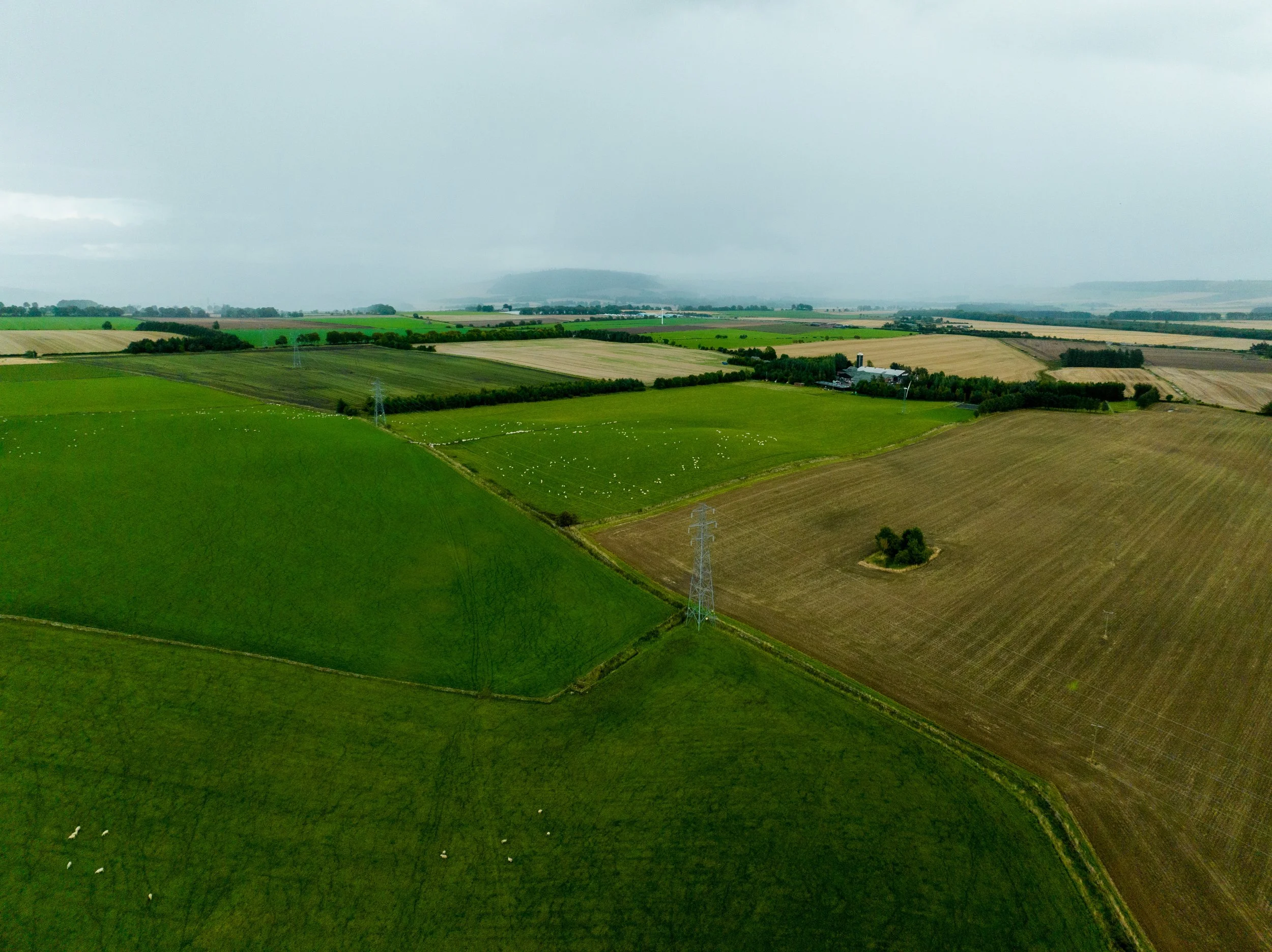 Aerial view of expansive farmland with green fields, some with grazing sheep, and power lines crossing the landscape under a cloudy sky.