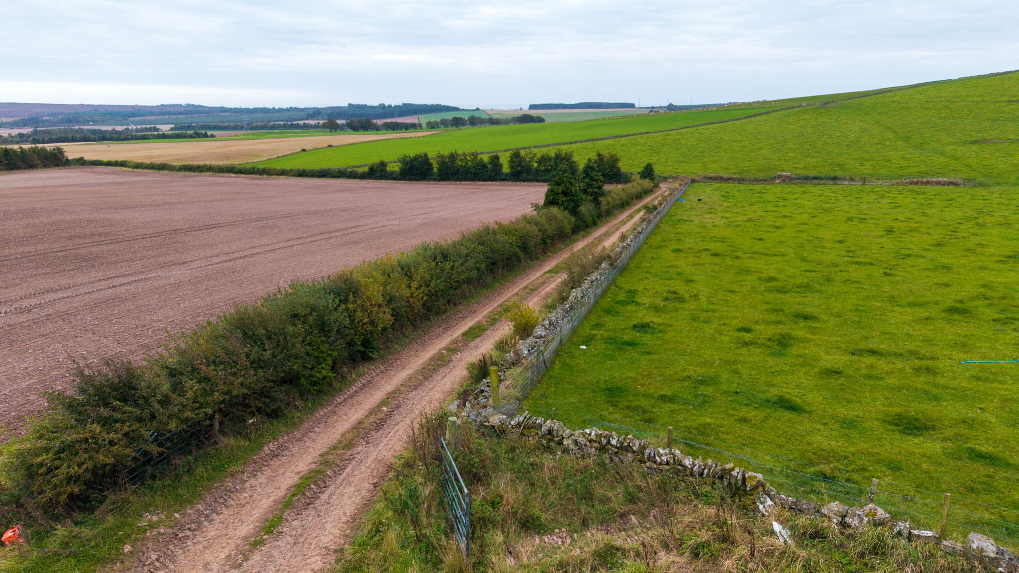 View of farmland with a dirt road bordered by bushes and a stone wall, dividing a green field from a cultivated brown field, under a cloudy sky.