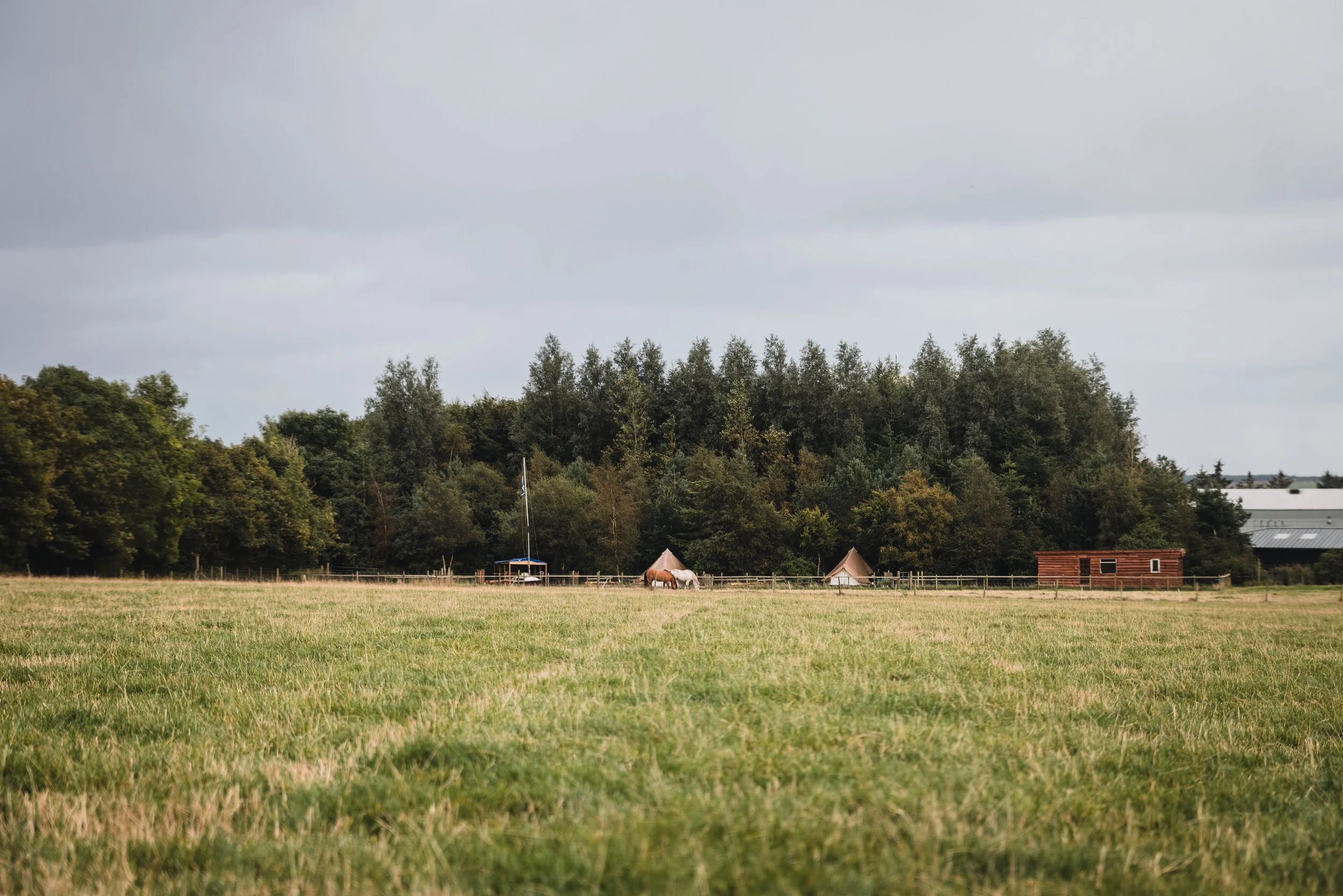 Open field with green grass, trees, and a cloudy sky in the background. There are tents and small structures, including a red building and a pole in the distance.