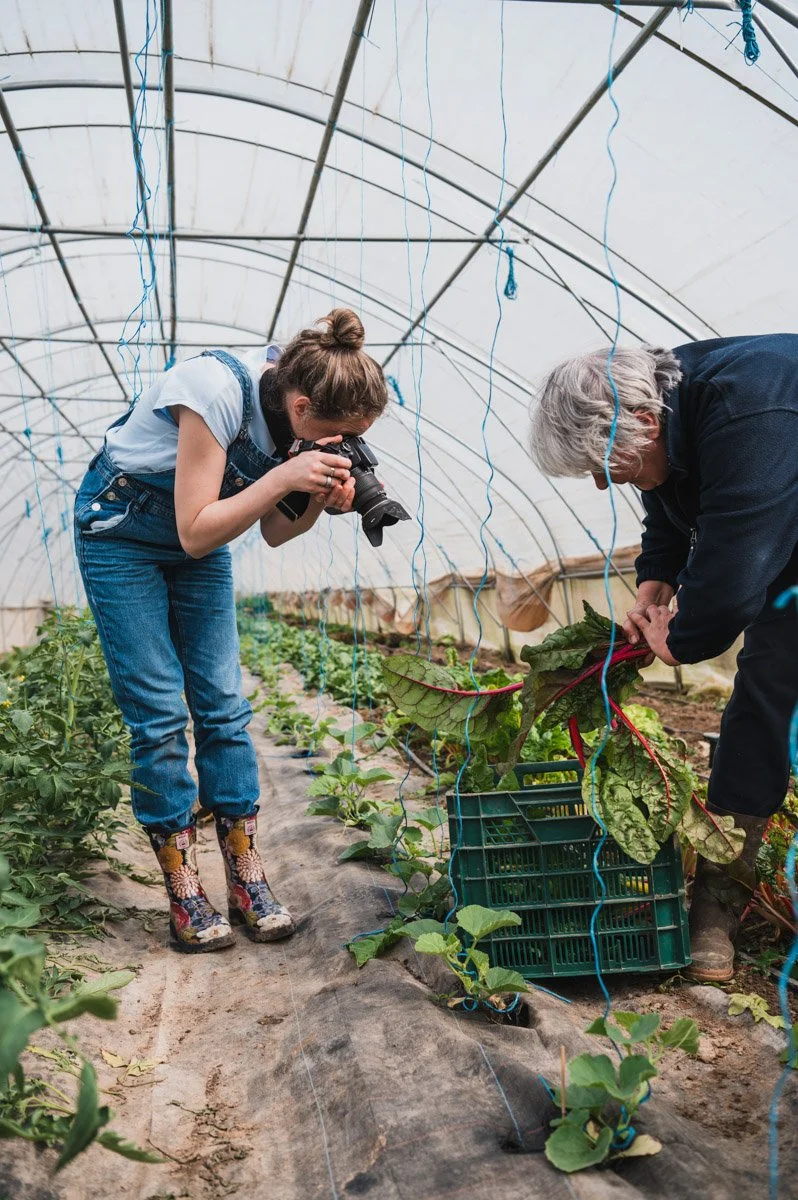 Marijke fotografeert groenten die boerin oogst in serre