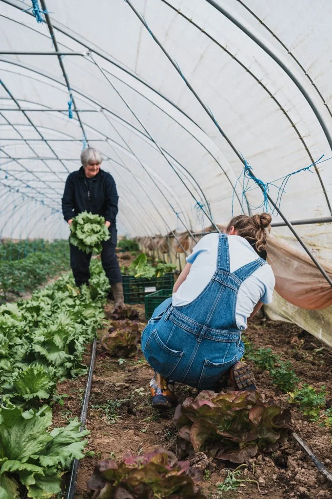 Marijke fotografeert in serre boerin met kropsla
