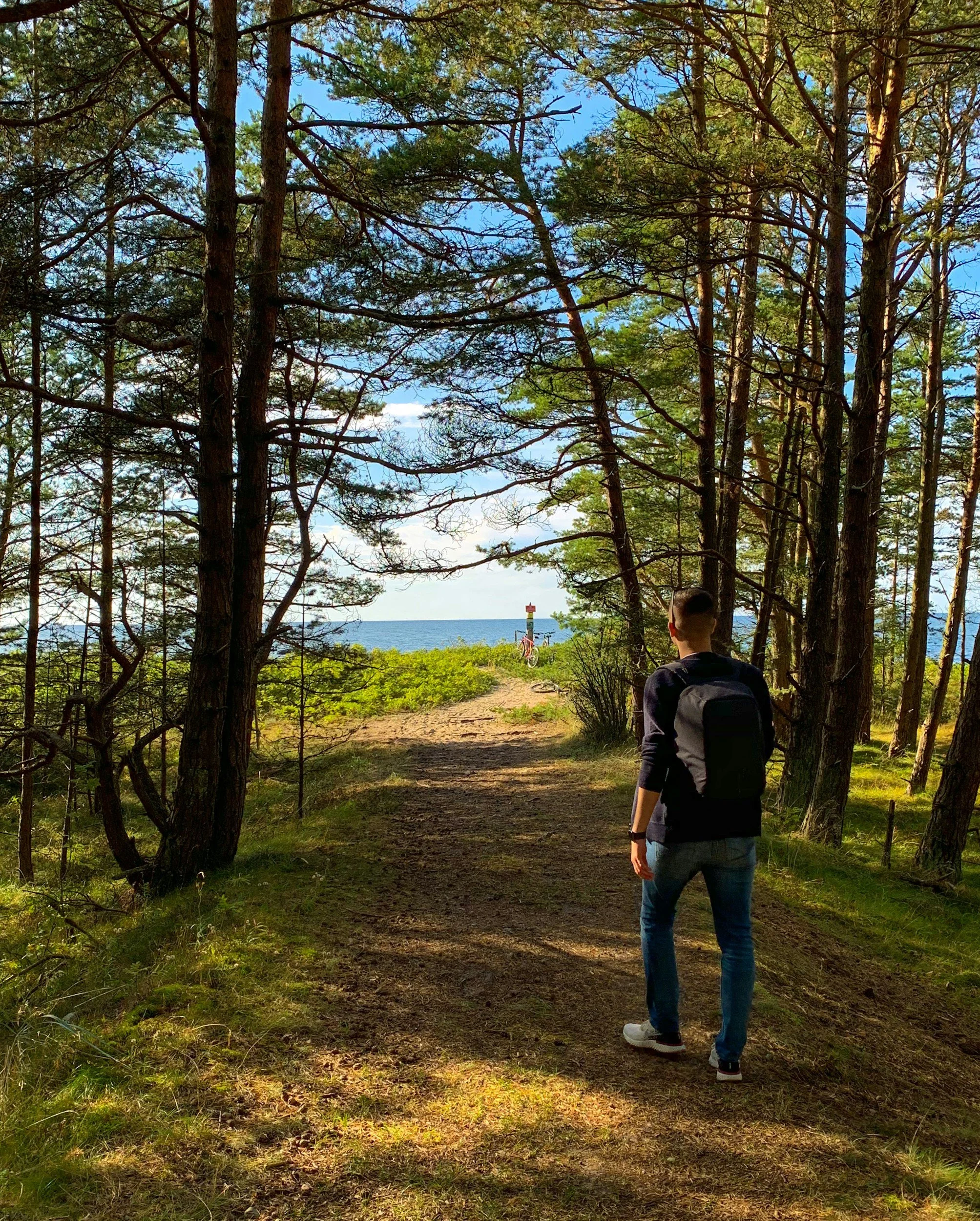 The Mental Health Benefits of Walking: Simple Steps to Reduce Anxiety