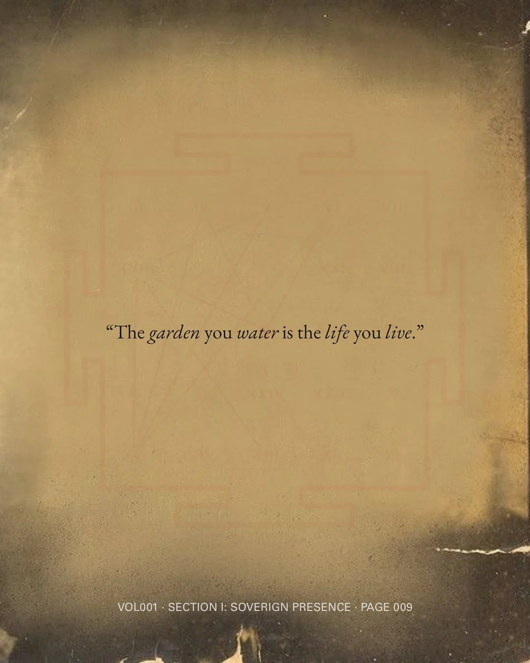 The garden you water is the life you live.

VOL001 | SECTION 1: SOVEREIGN PRESENCE | PAGE 009

Your thoughts are not just passing clouds &mdash; they are roots. Feeding the nervous system, shaping emotion, posture, and perception.
A single thought, r