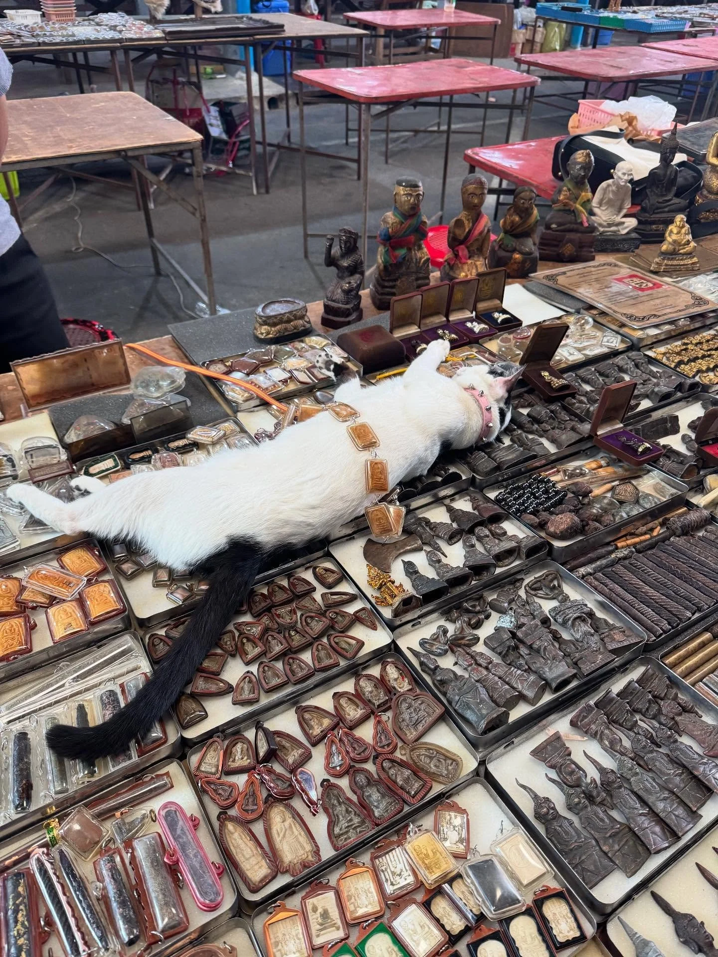 Days in markets and temples. A modern-day treasure hunter, looking for pieces that hold something more.

#ModernDayTreasureHunter
#ArtifactHunting
#MarketFinds
#TempleFinds
#HiddenMarkets
#VintageArtifacts
#CulturalArtifacts
#SacredObjects
#Spiritual