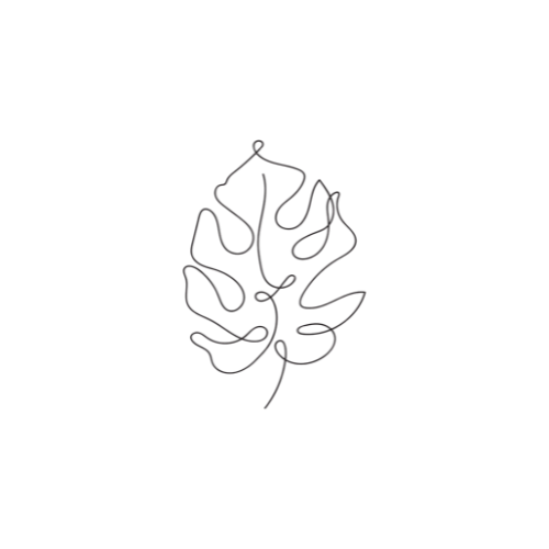 A minimalist line drawing of a monstera leaf against a black background.