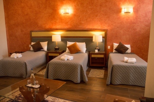 DSC_5244 Medium.jpeg