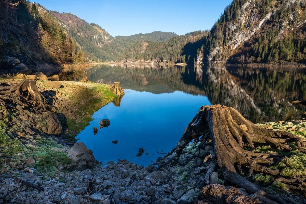20221027-2116 Baumgestalten am Gosausee, Herbst