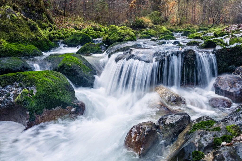 20221028-2335 Bach im Echerntal