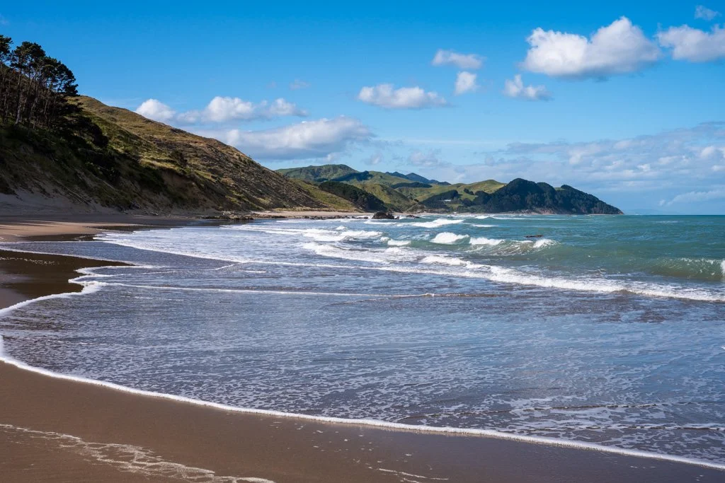 20231130-4504 Castlepoint Beach, Castlepoint