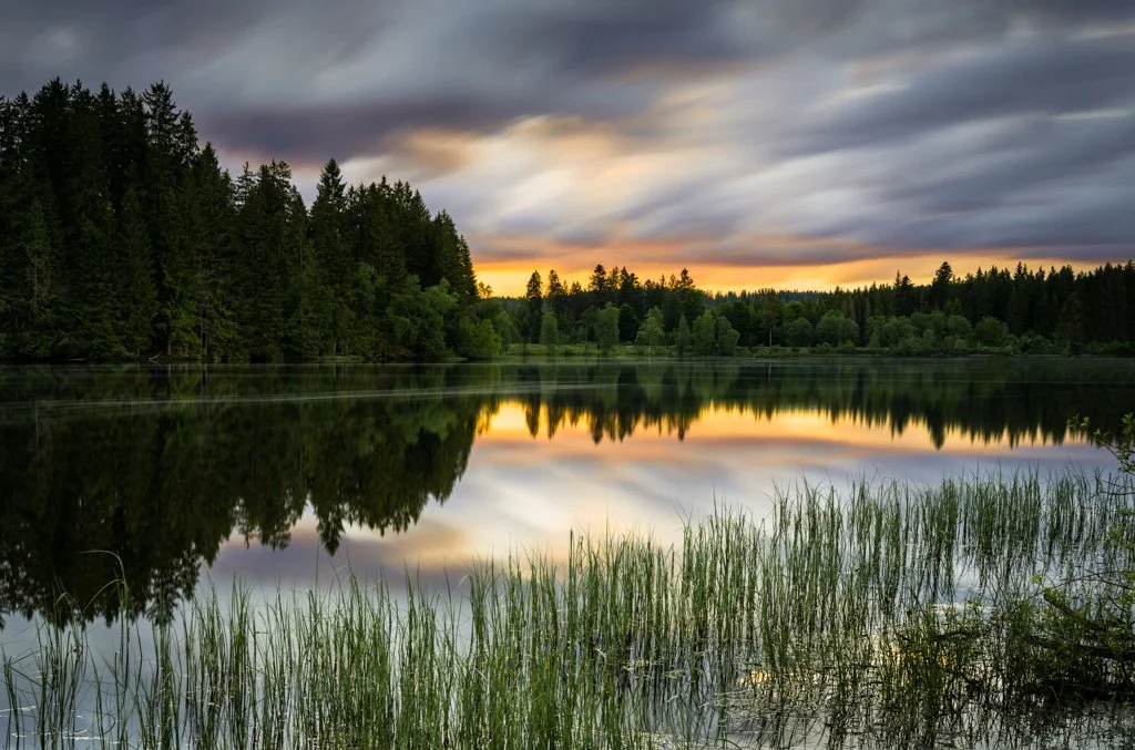 20210612-_DSC6330 Windgfällweiher, See, Schwarzwald, Sonnenuntergang.jpg