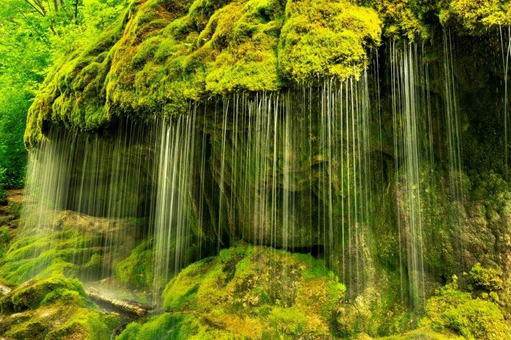 20210618-_DSC6916 Dietfurter Wasserfall, Wutachschlucht, Schwarzwald.jpg