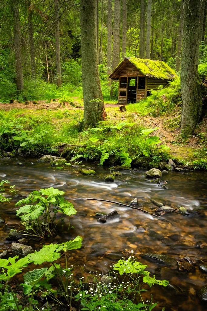 20210619-_DSC6990-2 Rötenbachschlucht, Rötenbachschluchthütte, Schwarzwald.jpg