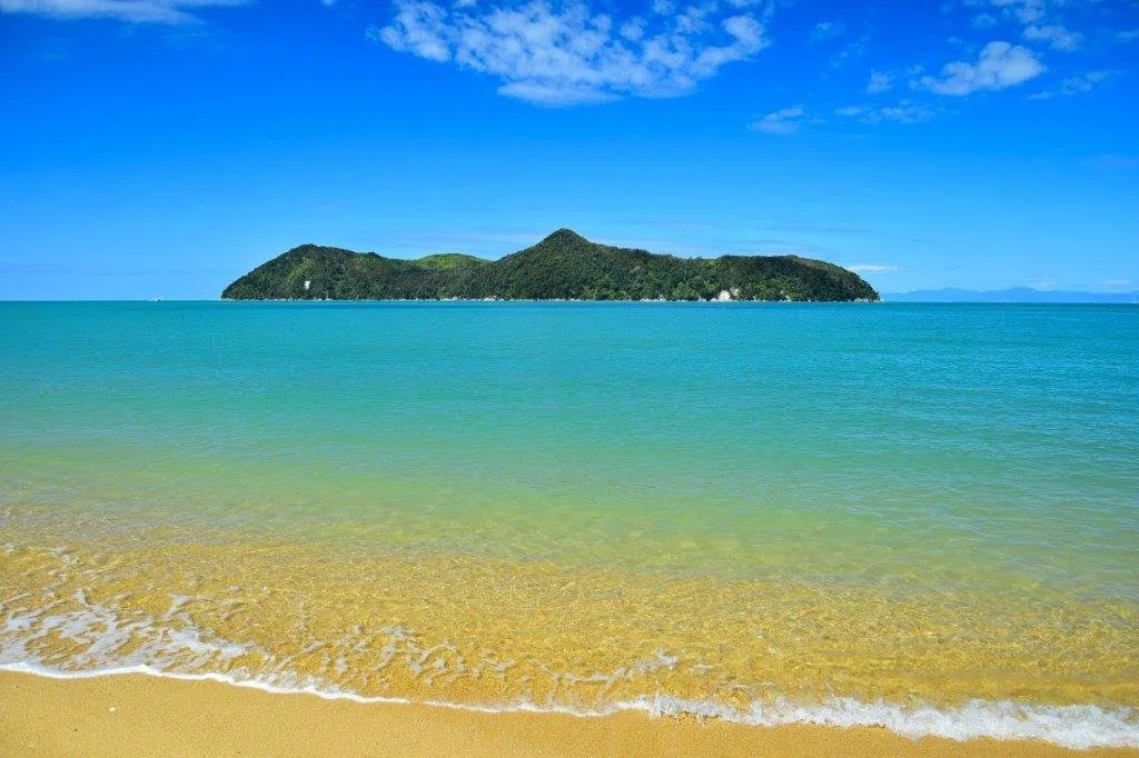 Neuseeland, Südinsel, Abel Tasman Nationalpark, Adele Island, New Zealand, South Island, Abel Tasman National Park, Nelson.jpg