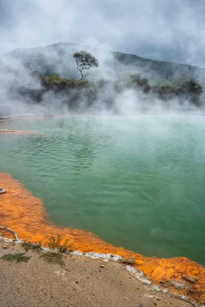 20231119-1785 Champagne Pool, Waiotapu, Wai-O-Tapu, North Island, New Zealand, Nordinsel, Neuseeland.jpg