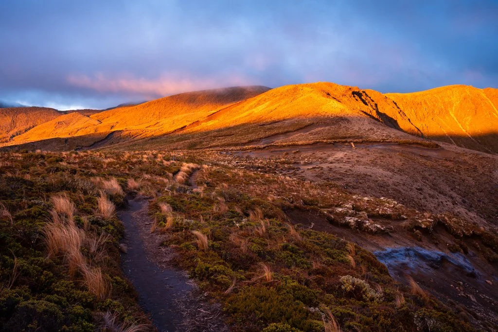 20231121-_DSC2506 Tama Lakes Track, New Zealand, Neuseeland, Tongariro National Park.jpg
