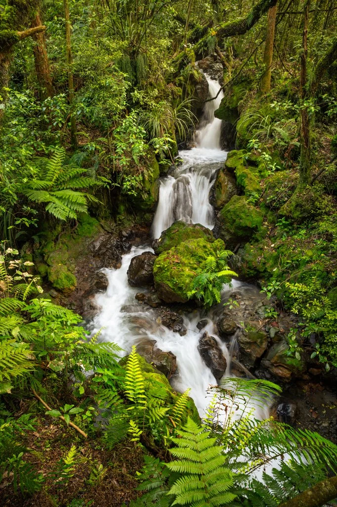 20231122-_DSC2116 Ketetahi Falls, New Zealand, Neuseeland, Tongariro National Park, Wasserfall.jpg