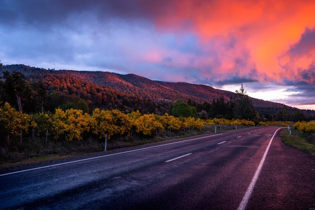 20231122-_DSC2853 New Zealand, Tongariro Nationalpark, Neuseeland.jpg
