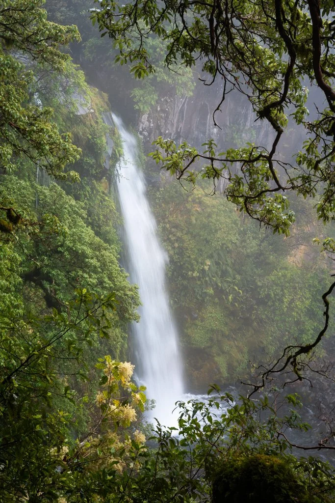 20231125-_DSC3110 Dawson Falls, Egmont Nationalpark, New Zealand, Neuseeland,.jpg
