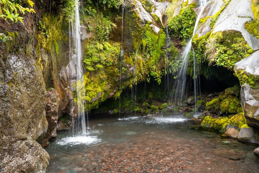 20231127-_DSC3585 Wilkie's Pools, Egmont Nationalpark, New Zealand, Neuseeland,.jpg