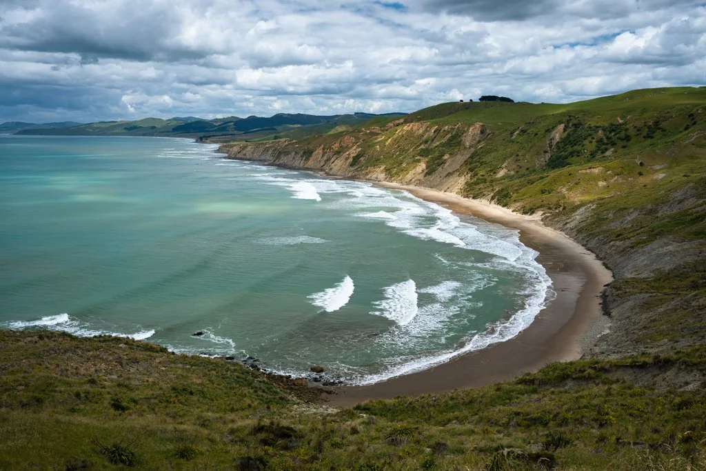 20231130-_DSC4376 Neuseeland, New Zealand, Castle Point, Wairarapa Coast.jpg