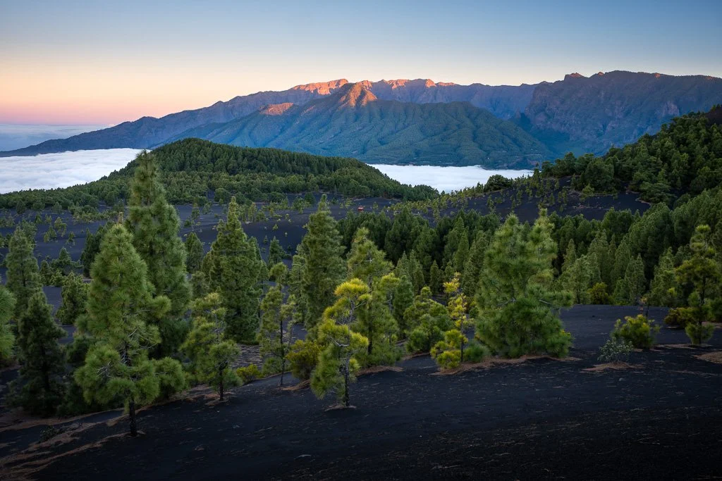 20260131_3158_Caldera_de_Taburiente_La_Palma_Kanarische_Inseln_Nebelmeer.jpg