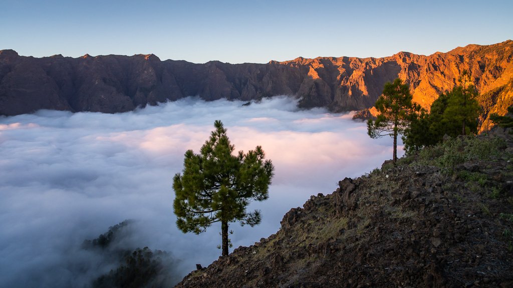 20260121_1982_Caldera_de_Taburiente_La_Palma_Kanarische_Inseln_Nebelmeer.jpg