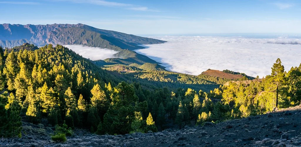 20260129_2620_Caldera_de_Taburiente_La_Palma_Kanarische_Inseln_Nebelmeer.jpg