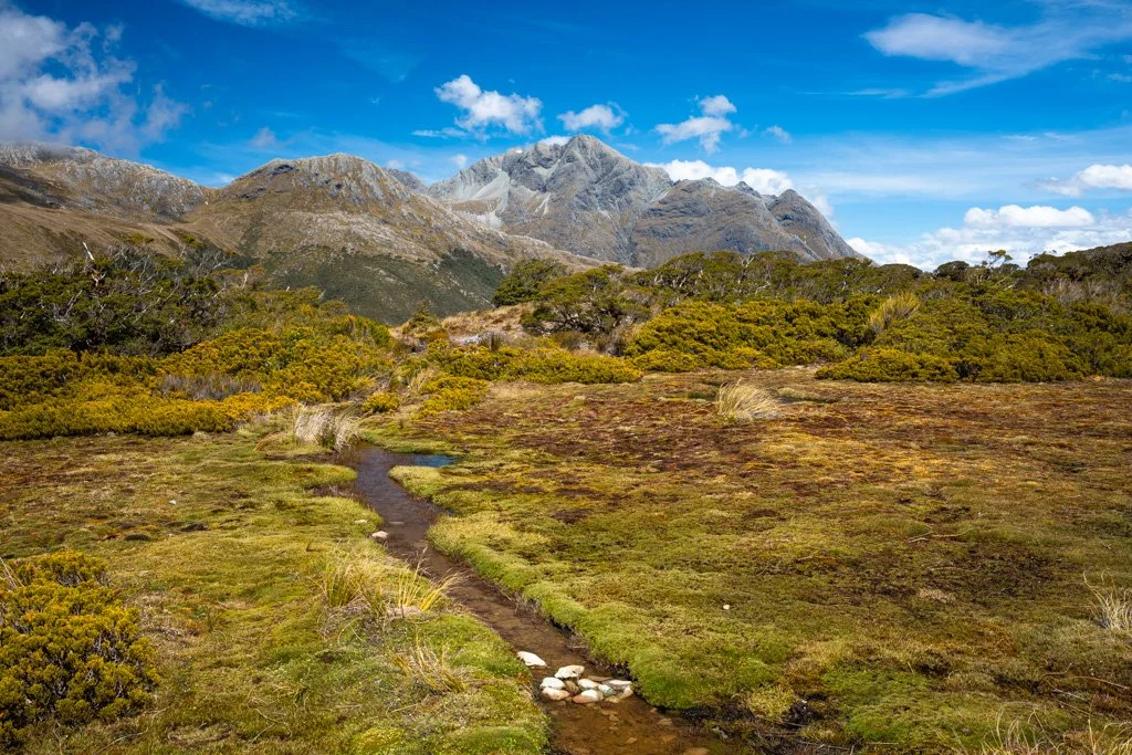 20231216-7415 Key Summit Track. Fiordland National Park