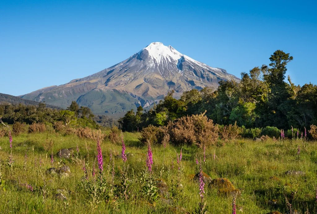 20231126-3396 Taranaki, Egmont Nationalpark, New Zealand, Neuseeland.jpg