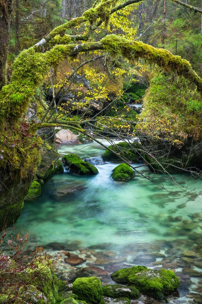 20221028-2311 Waldbach im Echerntal