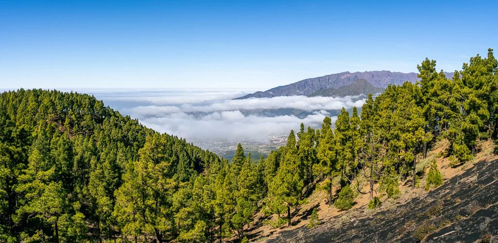 20260129_2467_Caldera_de_Taburiente_La_Palma_Kanarische_Inseln_Nebelmeer.jpg