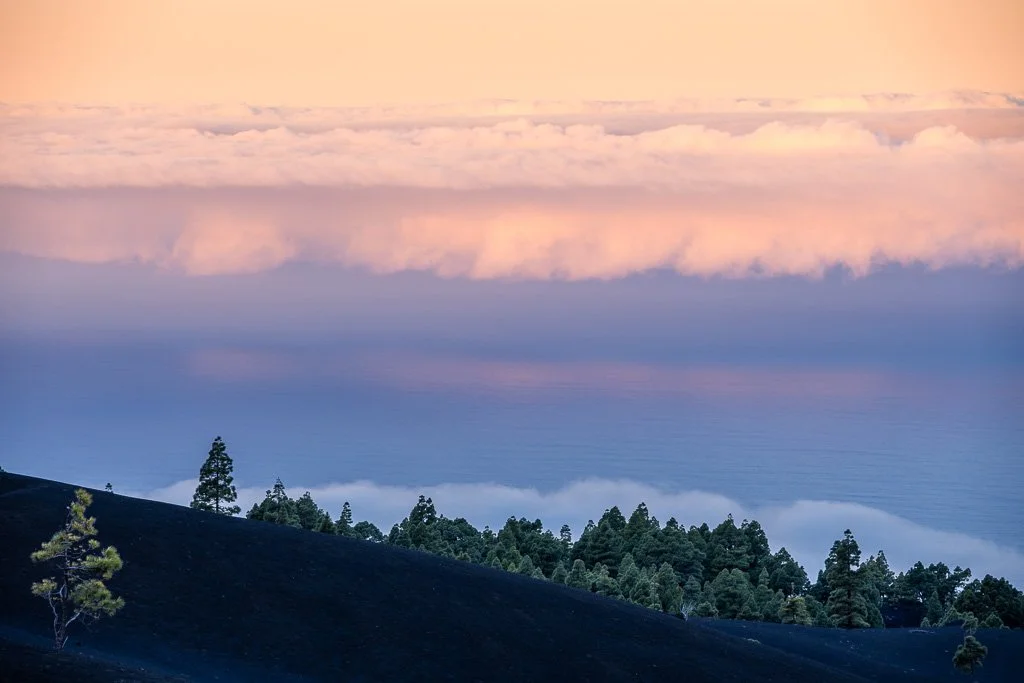 20260131_3180_La_Palma_Kanarische_Inseln_Nebelmeer_Wolken_Islas_Canarias.jpg