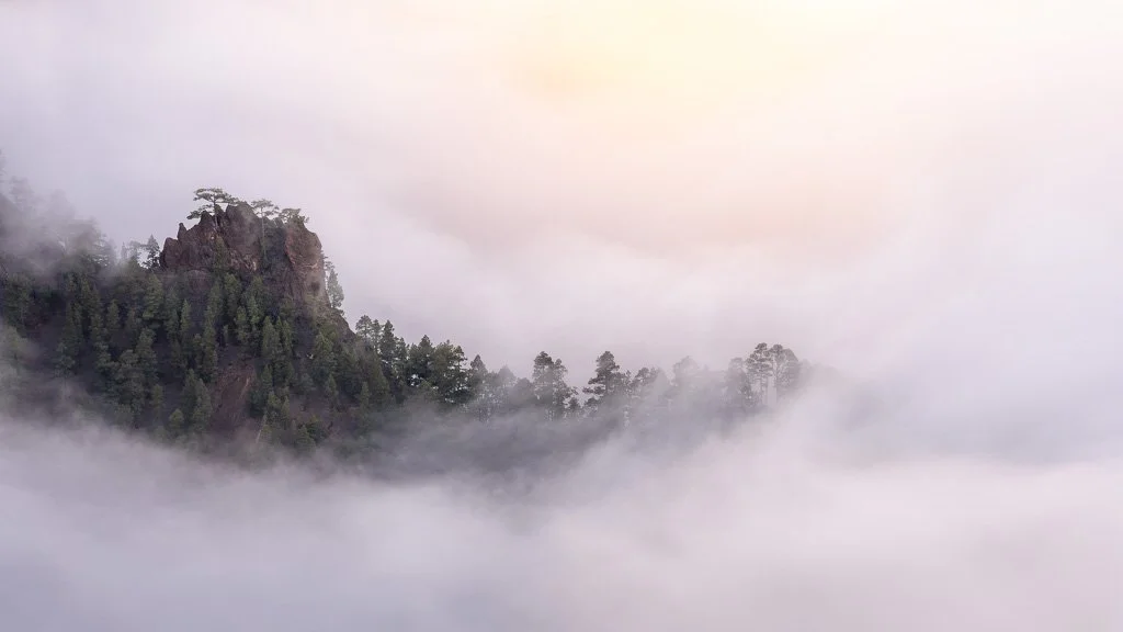20260121_1928_Caldera_de_Taburiente_La_Palma_Kanarische_Inseln_Nebelmeer.jpg