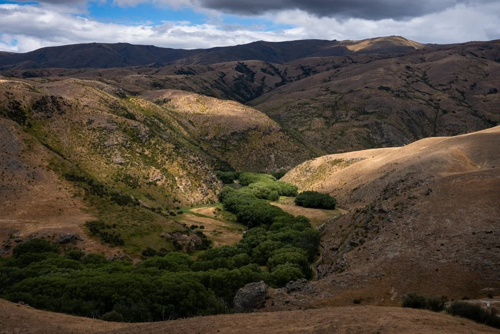 20231217-7513  Lindis Pass Tarras Road