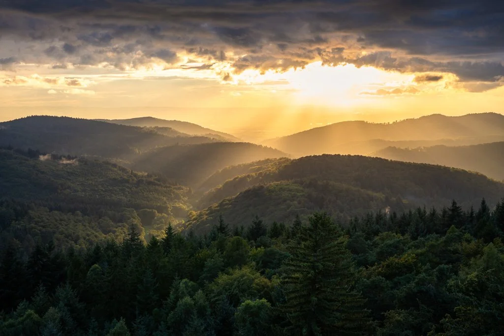 20230812-8477 Odenwald, Aussicht vom Teltschikturm bei Sonnenuntergang