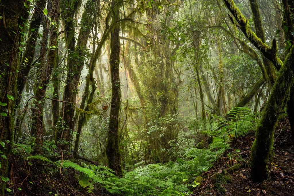 La Gomera