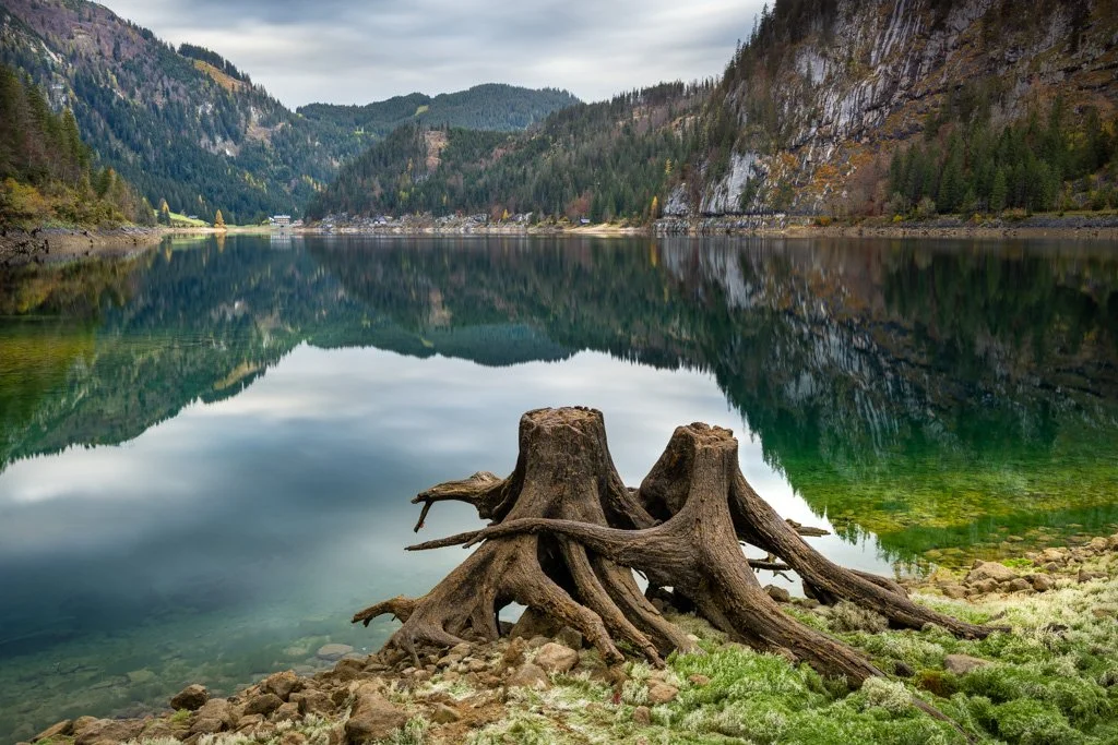 20221026-1920 Baumgestalten am Gosausee, Herbst