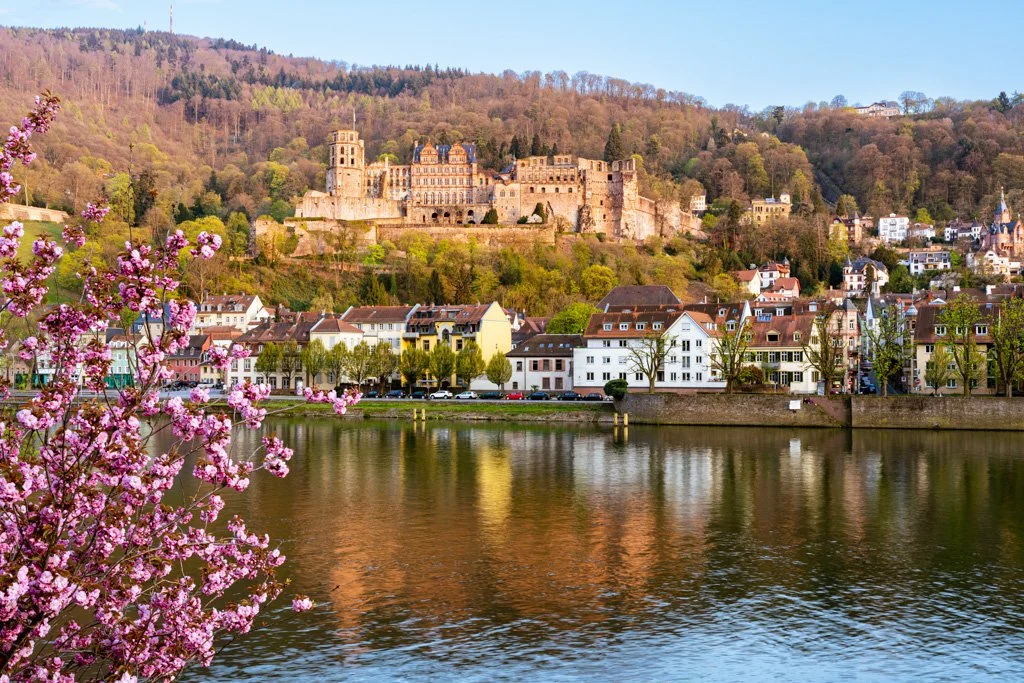 20210420-4865 Heidelberg mit Schloss im Frühling, town, city, castle, spring, springtime