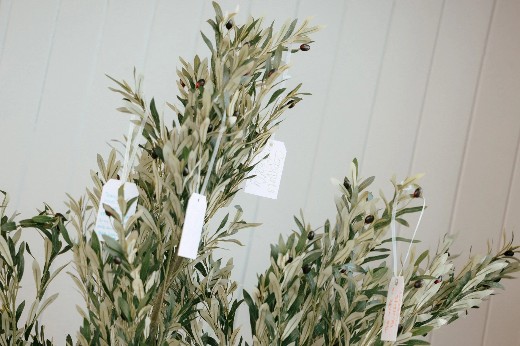 wishing tree, where guests write their wishes for the bride and groom