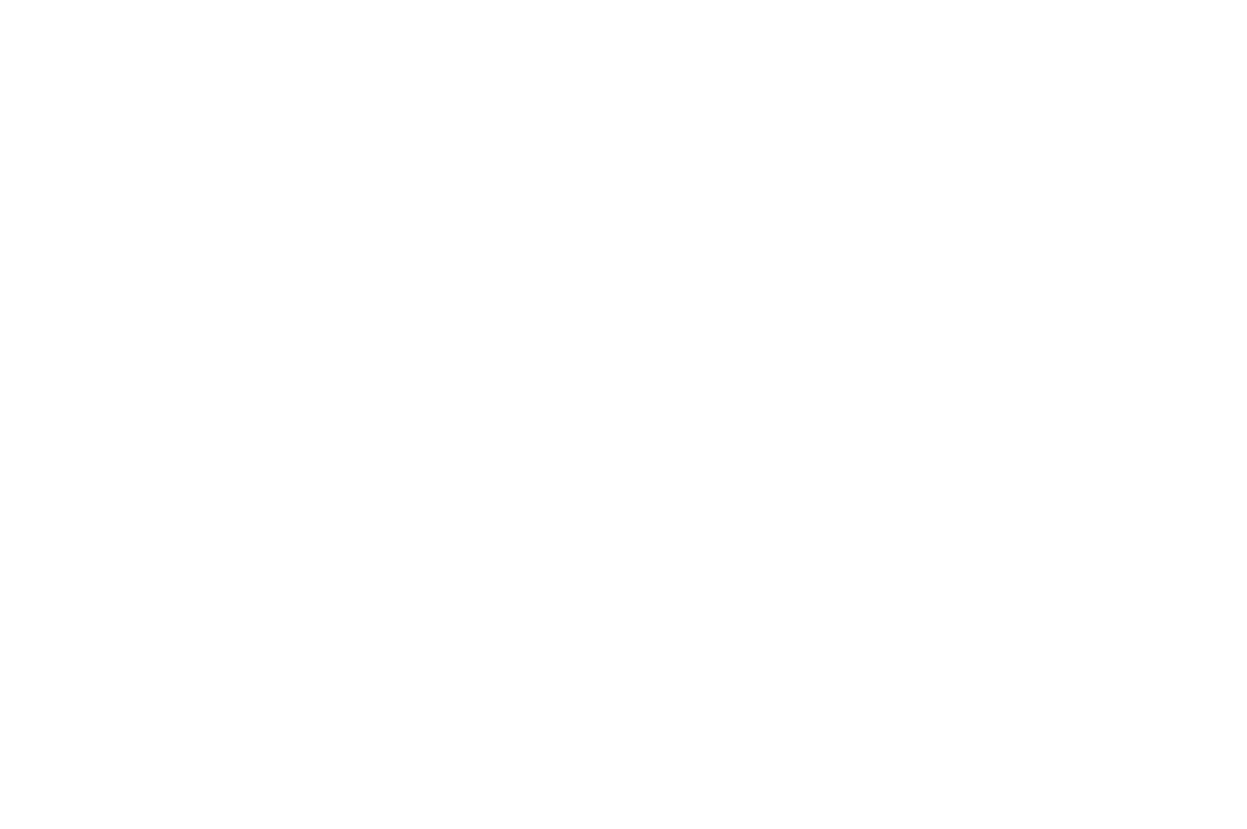 DB Digital Solutions